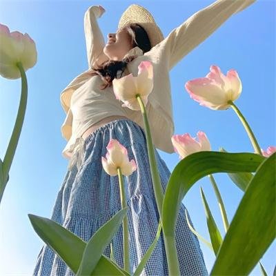 出谷黄莺