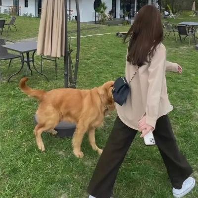 春光猎影